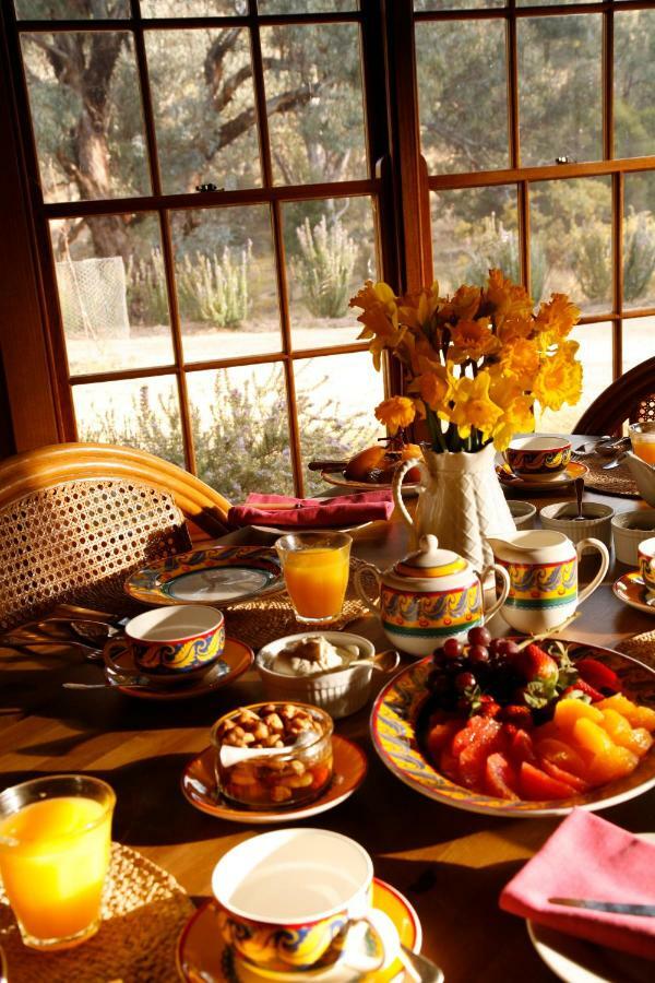Wildwood Guesthouse مودجي المظهر الخارجي الصورة
